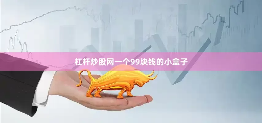 杠杆炒股网一个99块钱的小盒子