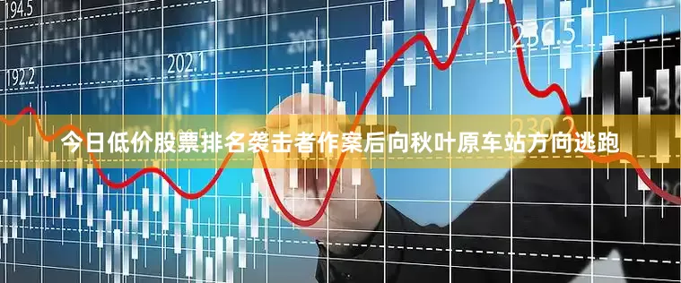 今日低价股票排名袭击者作案后向秋叶原车站方向逃跑